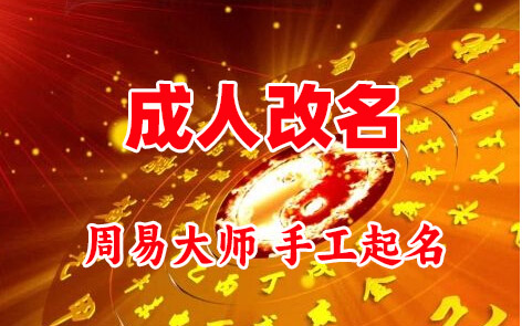 泸州市成人改名-找大师一对一改名先分析后改名